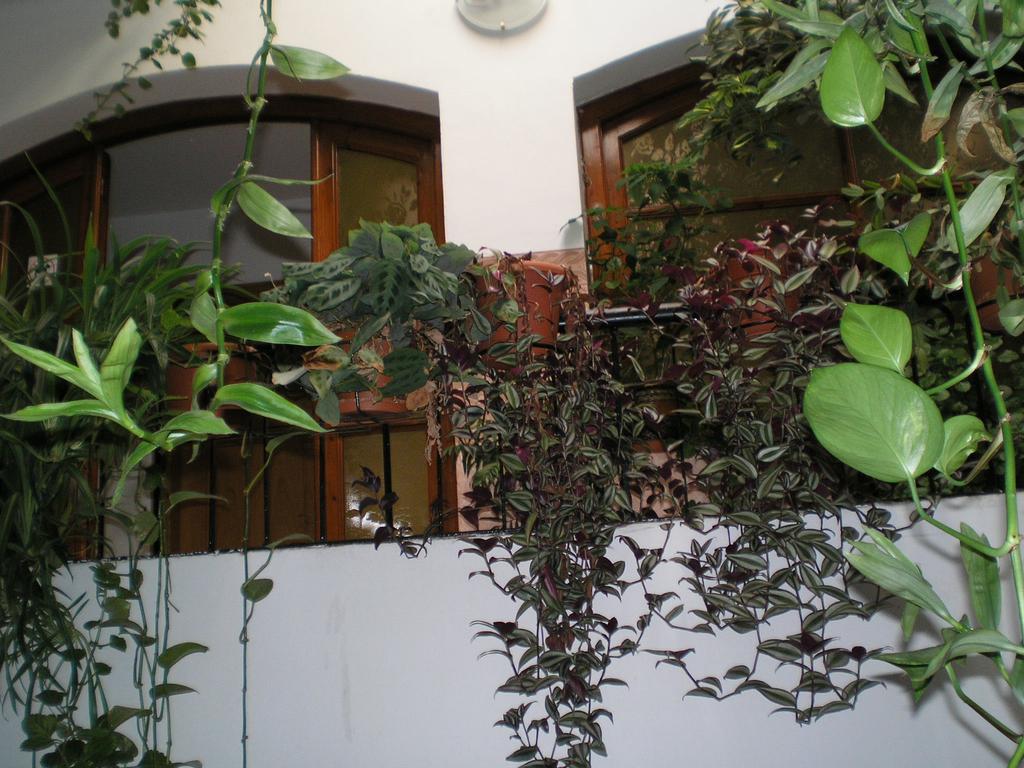 Hostal Maurin Vilaller Extérieur photo